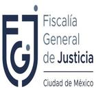 FISCALIA GENERAL DE JUSTICIA CDMX icône
