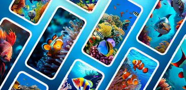 Fish Wallpapers 4K