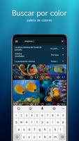 Fondos de pantalla con pez 4K captura de pantalla 2