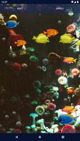 Aquarium Fish Live Wallpaper Ekran Görüntüsü 3