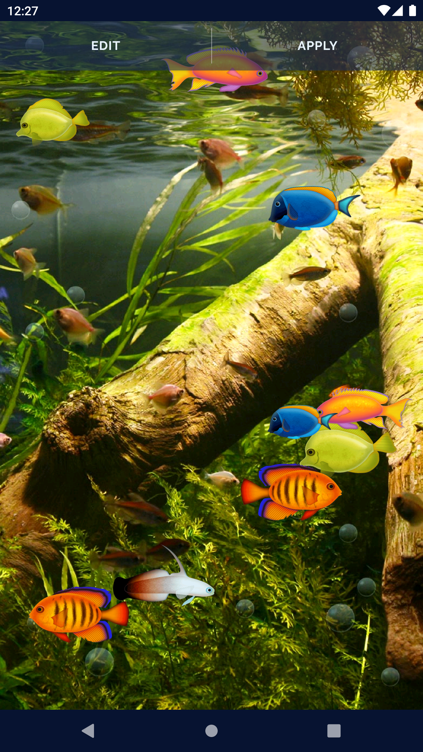 Aquarium Fish Live Wallpaper APK for Android – Download Aquarium Fish Live Wallpaper APK Latest Version from Aquarium Fish Live Wallpaper APK for Android – Download Aquarium Fish Live Wallpaper APK Latest Version from
