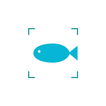 Fish Identifier - Fish101 icon