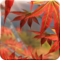 Autumn Tree Live Wallpaper APK download