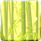 Bamboo Forest Free آئیکن