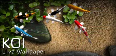 Koi Live Wallpaper Gratis