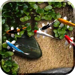 Koi Free Live Wallpaper Icon