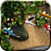 Koi Live Wallpaper APK