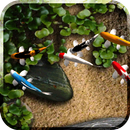Koi Live Wallpaper APK