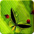 Friendly Bugs Live Wallpaper