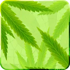 MaryJane Free Live Wallpaper APK download