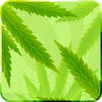 MaryJane Free Live Wallpaper APK