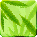 MaryJane Live Wallpaper