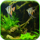 Fish Tank HD Live Wallpaper APK