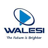 Walesi
