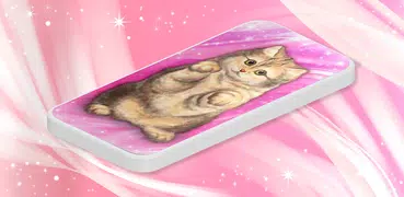 Cute Fluffy Cat Live Wallpaper