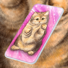 Cute Fluffy Cat Live Wallpaper иконка