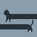 Stretch a cat