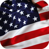 Flag of USA Video Wallpaper icône