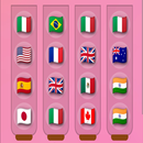 Flags Sorting puzzle APK