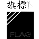 FlagTech RoCar 體感遙控車 APK