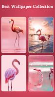 HD Flamingo Bird Wallpaper screenshot 2