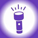 Flashlight Pro APK
