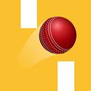 Flappy Ball APK