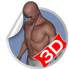 Flat Belly 3D Workout Sets simgesi