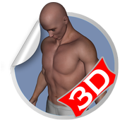 Flat Belly 3D Workout Sets icon