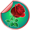 WAStickerApps Flowers APK