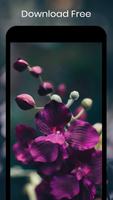 Flower heart скриншот 3