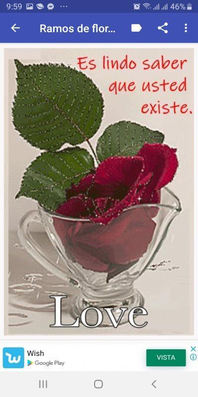 Flores con frases bonitas APK للاندرويد تنزيل Flores con frases bonitas APK للاندرويد تنزيل