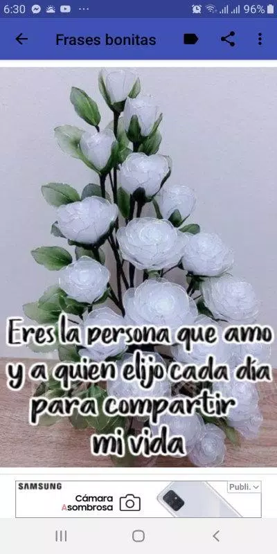 Frases bonitas con flores APK للاندرويد تنزيل Frases bonitas con flores APK للاندرويد تنزيل