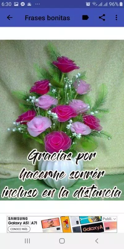 Frases bonitas con flores APK for Android Download Frases bonitas con flores APK for Android Download