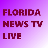 Live Miami News Channels icône