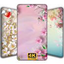 Flower Wallpaper 4K Best Ringtone Free Background APK