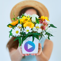 Flowers Animated Stickers WAStickerApps