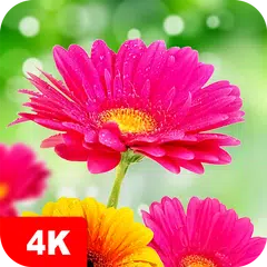 Hintergrundbilder mit Blumen APK Herunterladen