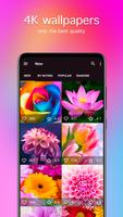 Flower Wallpapers 4K syot layar 1