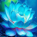 Flower Wallpaper APK