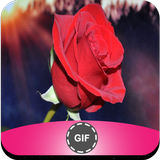 Flowers GIF ไอคอน