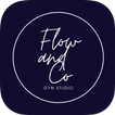 Flow and Co icon