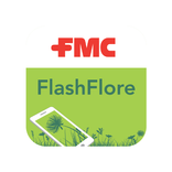 FlashFlore