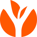 Ynovae