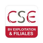 CSE Bureau Veritas Exploitatio icône