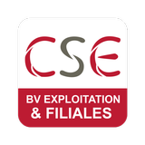 CSE Bureau Veritas Exploitatio icono