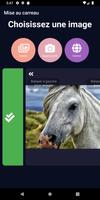 ImageGrid ภาพหน้าจอ 2