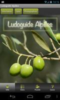 Ludoguide Alpilles plakat