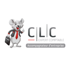 CLC Expert-Comptable-icoon