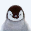 Le Pingouin ou le Manchot APK